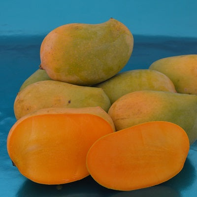 Kesar Mangoes – The Saffron-Sweet Delight